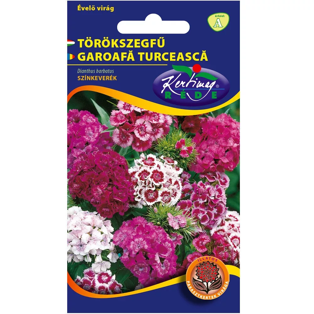 aranytalicska20261020214551162894