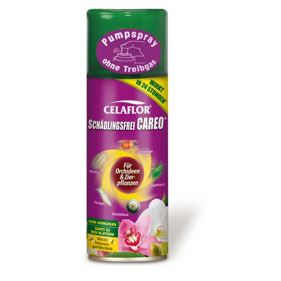 epuletgepeszet.bezzeghkft20261021124319283200