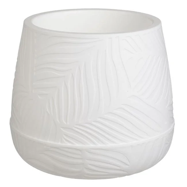 jumbowebshop20261020204105150730
