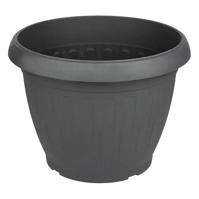 jumbowebshop20261020204200150897