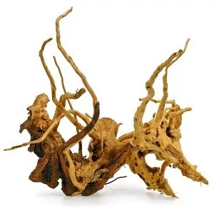 koi-kert20261020192213133638