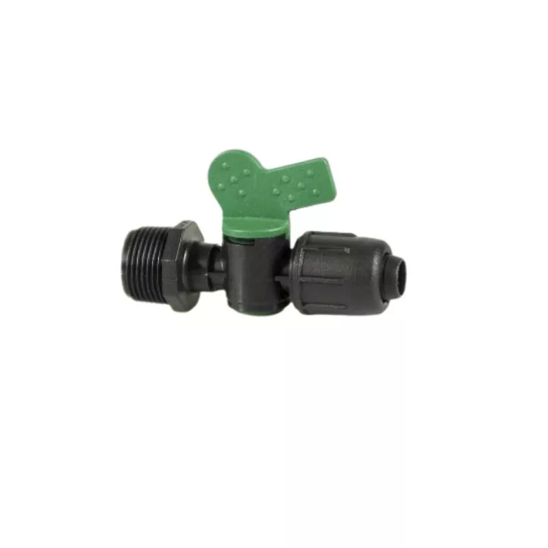 koi-kert20261020210626156338